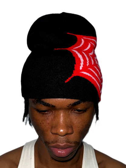 Websting Beanie