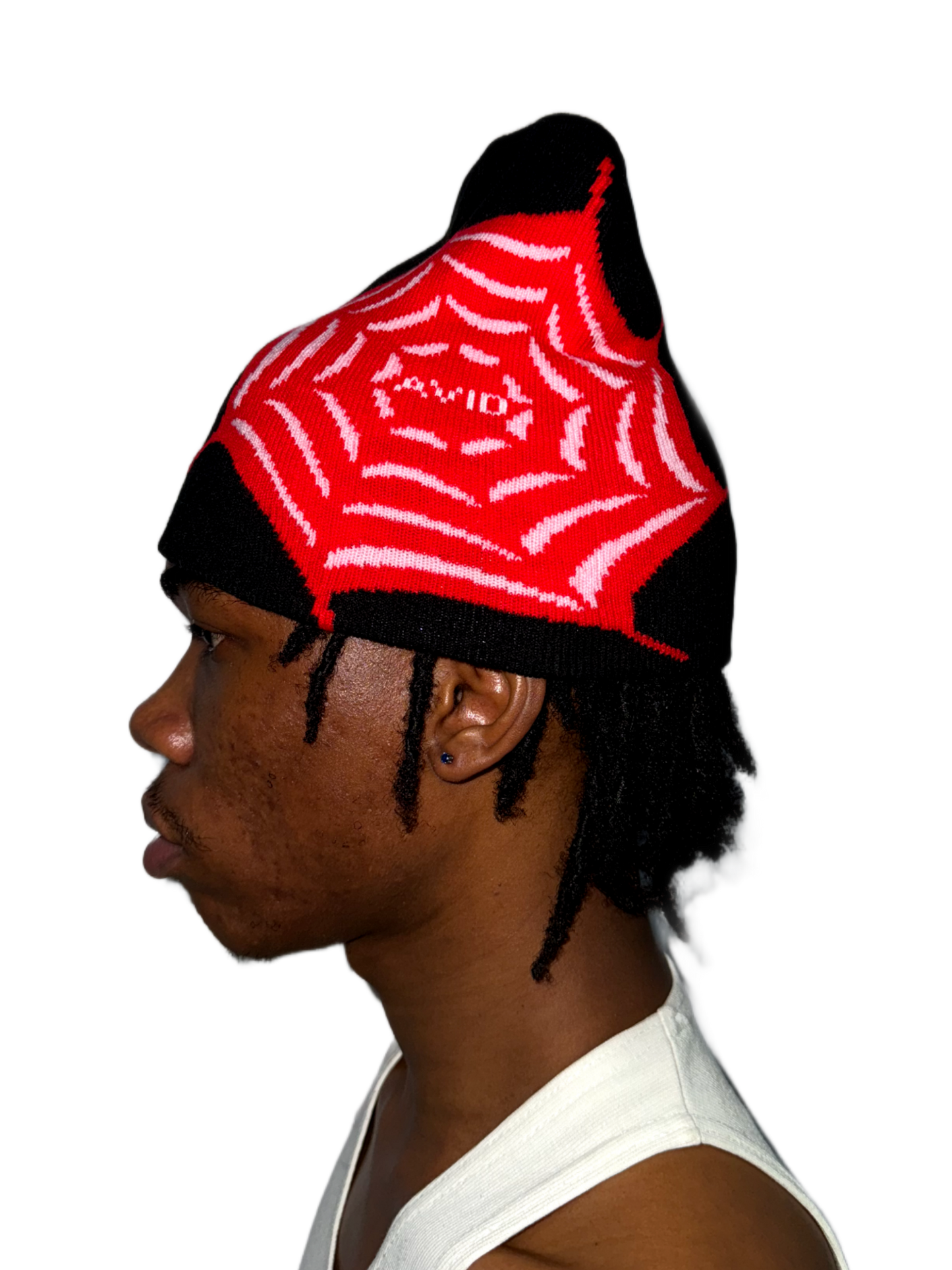 Websting Beanie