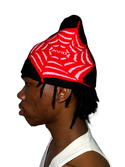 Websting Beanie